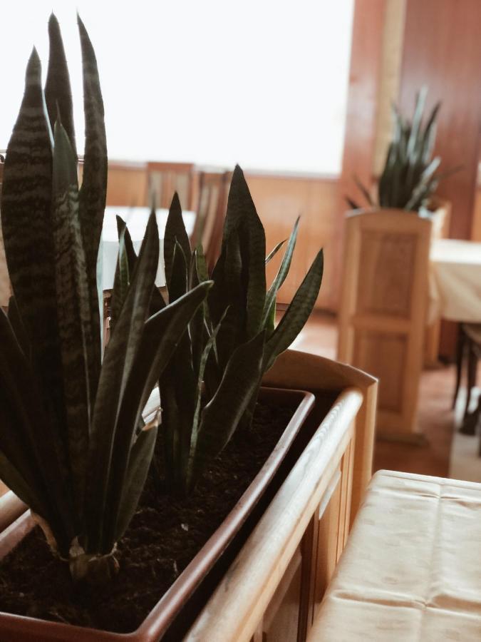 Hotel Kupres Kupres  Ngoại thất bức ảnh